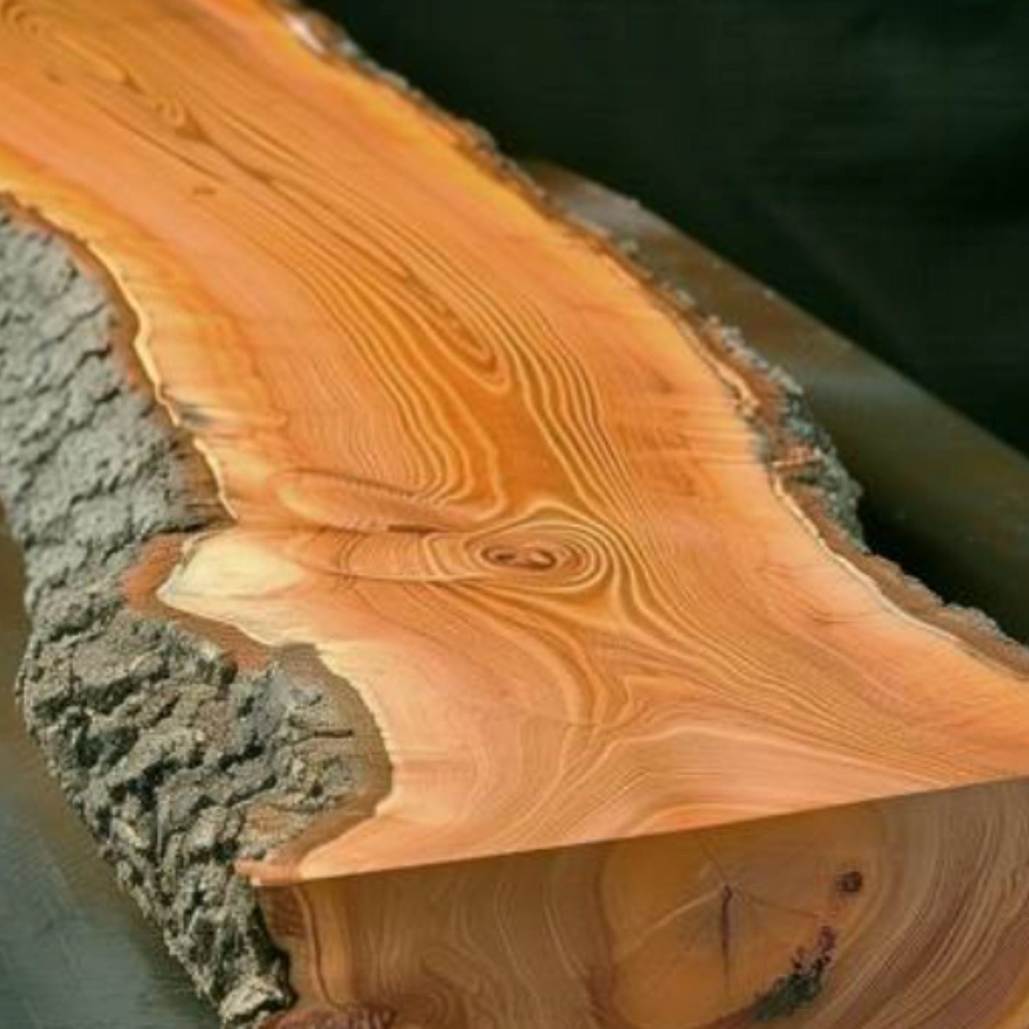 WARME I ERDENDE NATURSEIFEN - Studio C